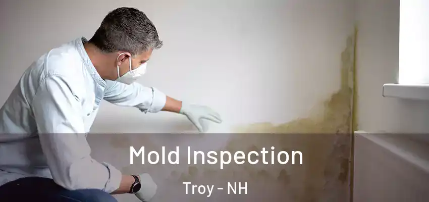  Mold Inspection Troy - NH