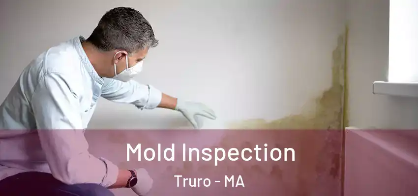  Mold Inspection Truro - MA