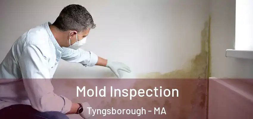 Mold Inspection Tyngsborough - MA