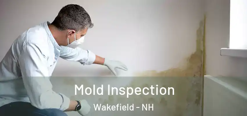 Mold Inspection Wakefield - NH