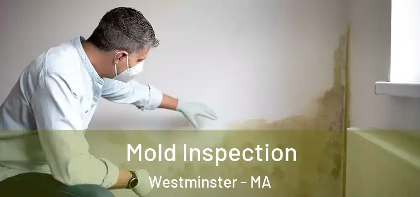 Mold Inspection Westminster - MA