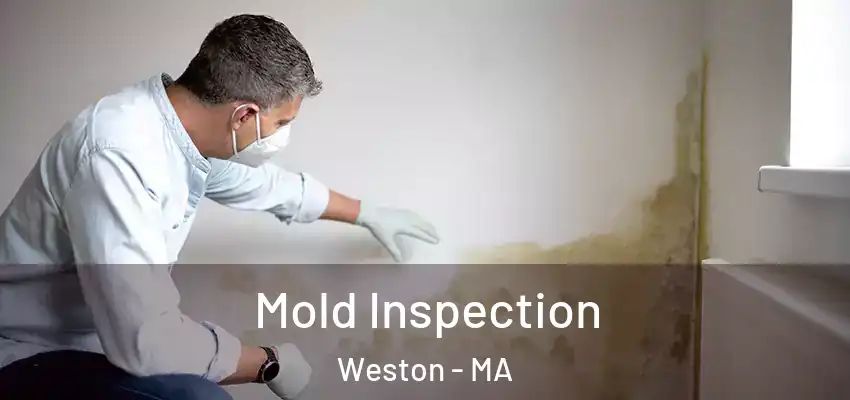  Mold Inspection Weston - MA