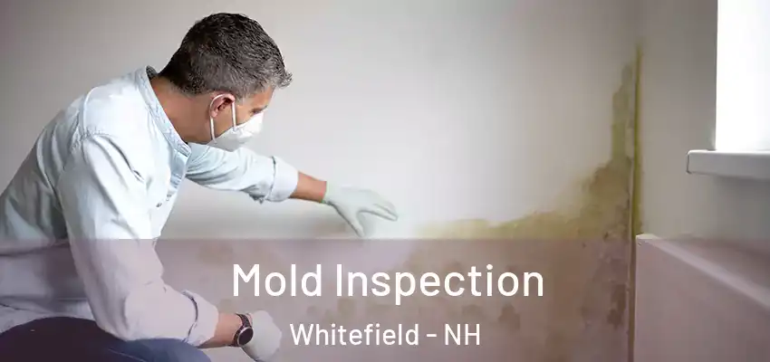Mold Inspection Whitefield - NH