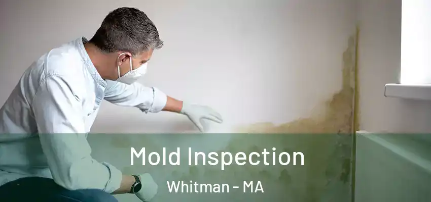  Mold Inspection Whitman - MA