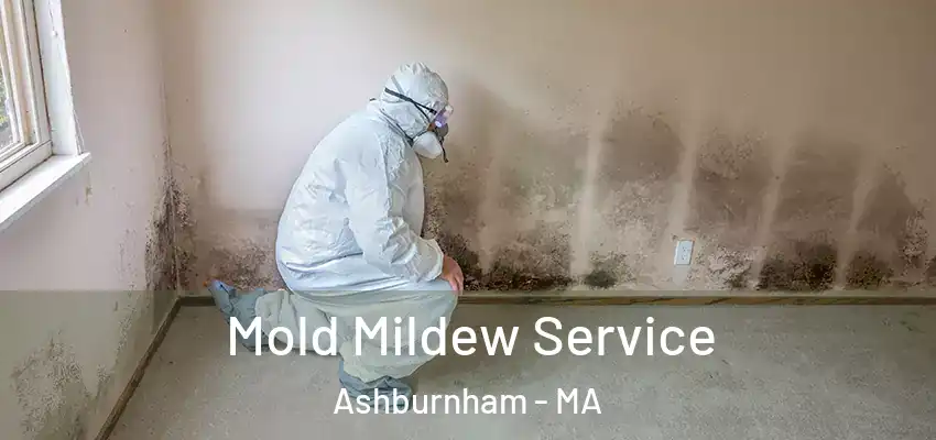 Mold Mildew Service Ashburnham - MA