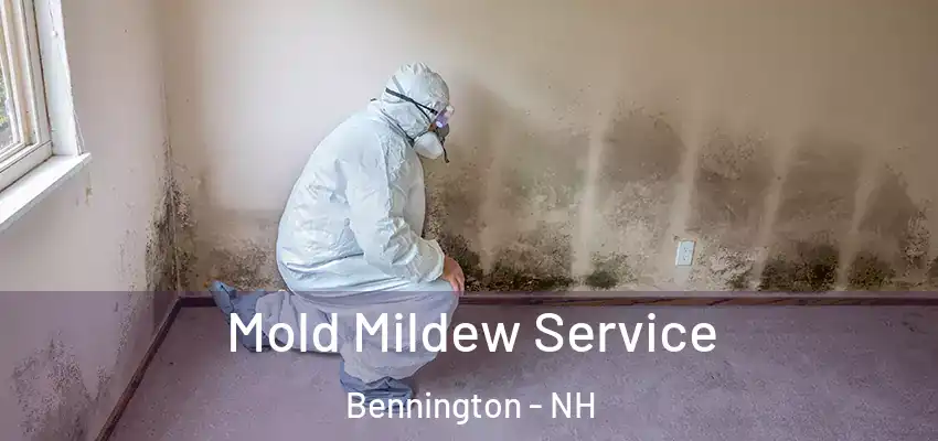 Mold Mildew Service Bennington - NH