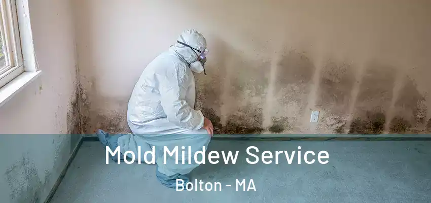 Mold Mildew Service Bolton - MA