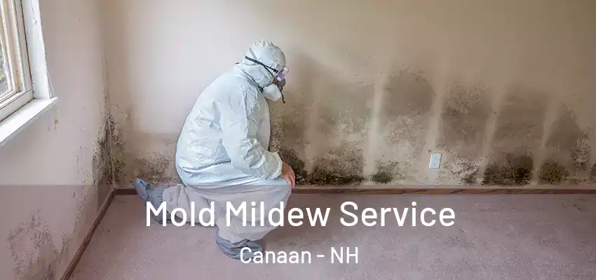 Mold Mildew Service Canaan - NH