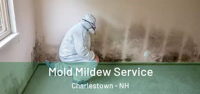  Mold Mildew Service Charlestown - NH