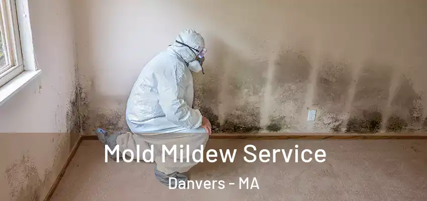 Mold Mildew Service Danvers - MA