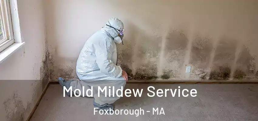  Mold Mildew Service Foxborough - MA
