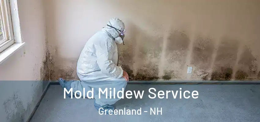 Mold Mildew Service Greenland - NH
