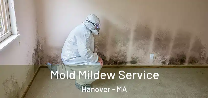  Mold Mildew Service Hanover - MA