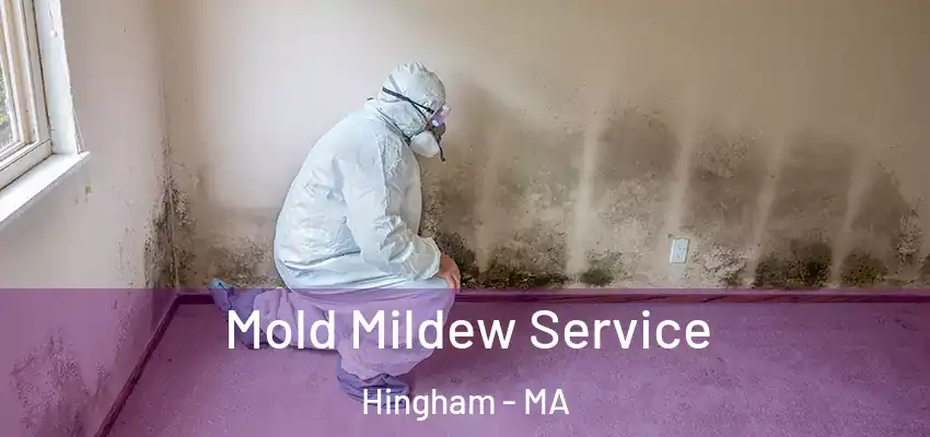  Mold Mildew Service Hingham - MA