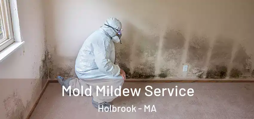 Mold Mildew Service Holbrook - MA