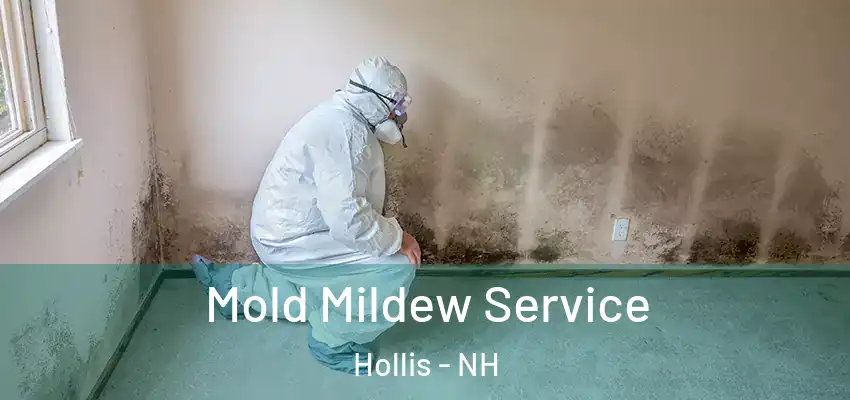 Mold Mildew Service Hollis - NH