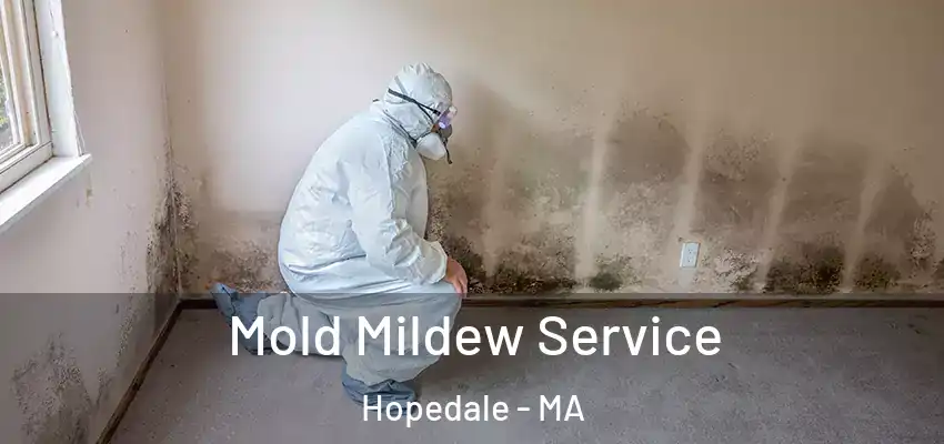 Mold Mildew Service Hopedale - MA