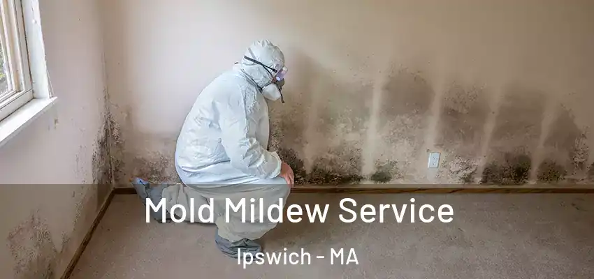 Mold Mildew Service Ipswich - MA
