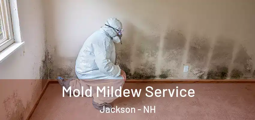 Mold Mildew Service Jackson - NH