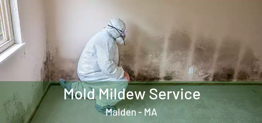  Mold Mildew Service Malden - MA