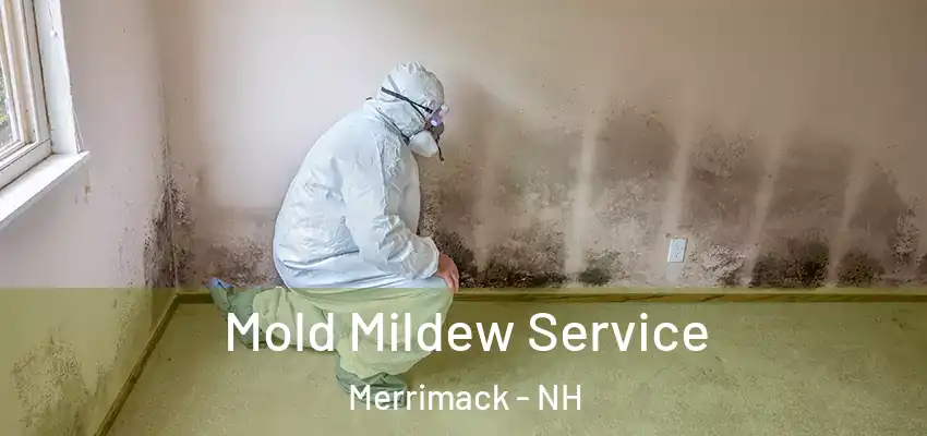  Mold Mildew Service Merrimack - NH