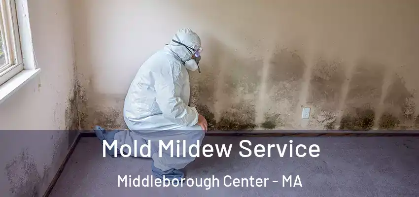 Mold Mildew Service Middleborough Center - MA