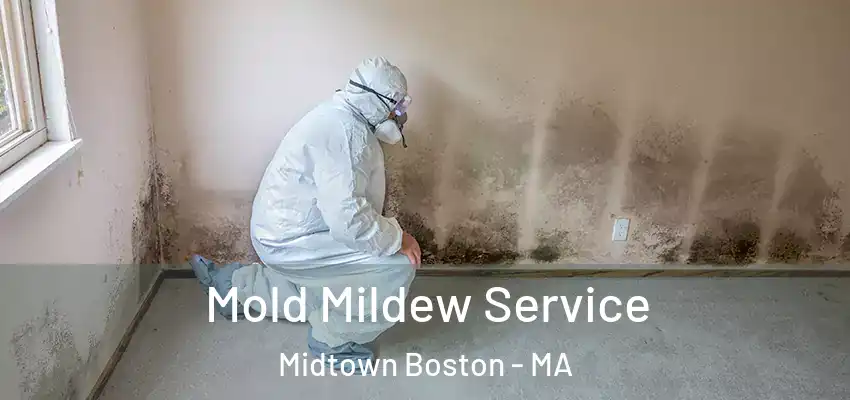 Mold Mildew Service Midtown Boston - MA