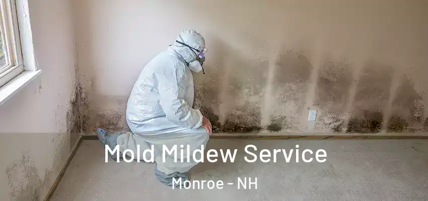  Mold Mildew Service Monroe - NH