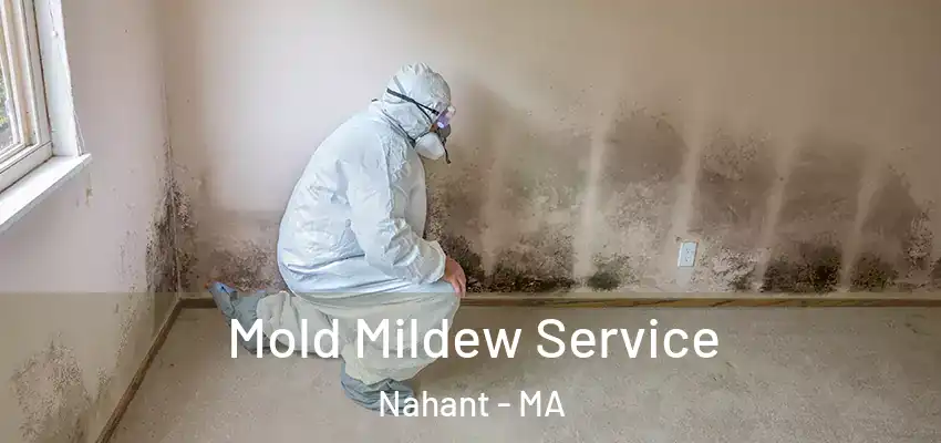 Mold Mildew Service Nahant - MA