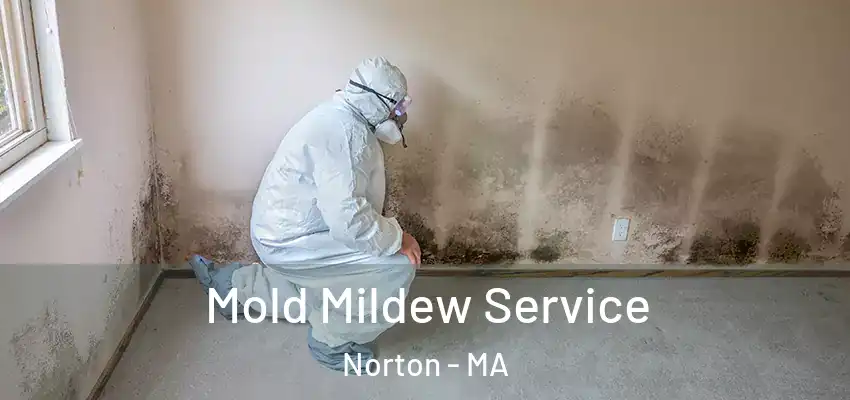 Mold Mildew Service Norton - MA