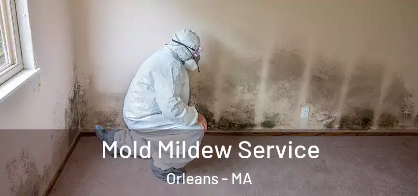  Mold Mildew Service Orleans - MA