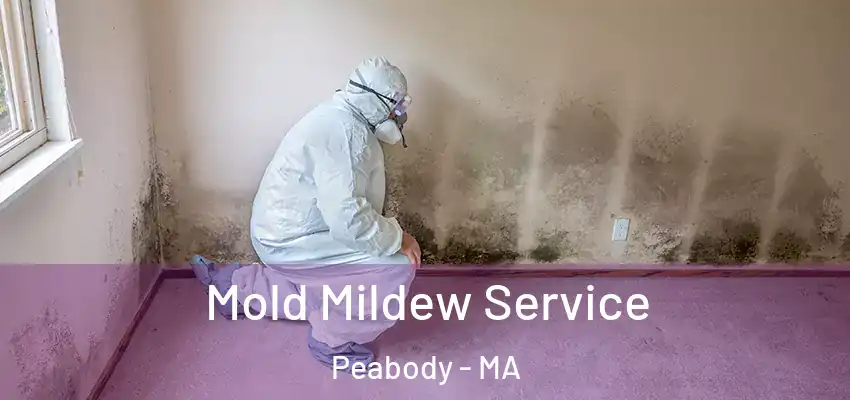  Mold Mildew Service Peabody - MA
