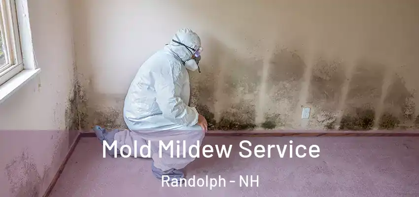 Mold Mildew Service Randolph - NH