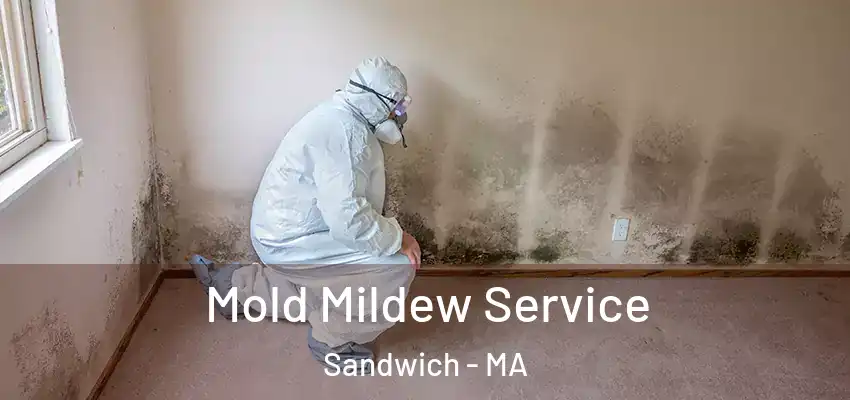  Mold Mildew Service Sandwich - MA