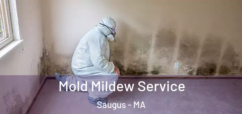  Mold Mildew Service Saugus - MA