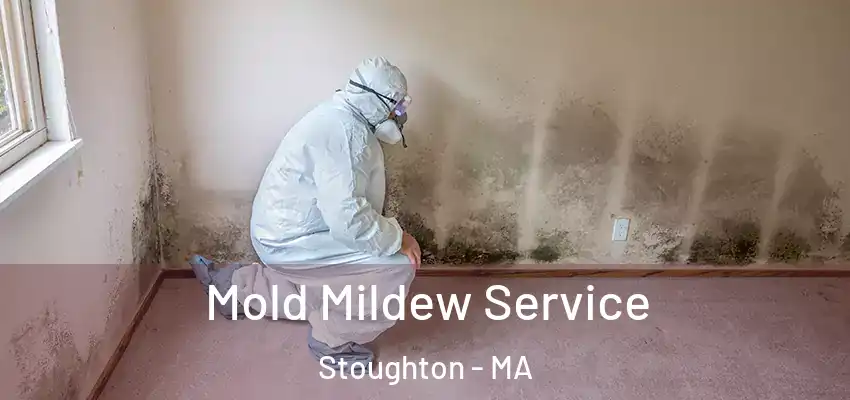  Mold Mildew Service Stoughton - MA