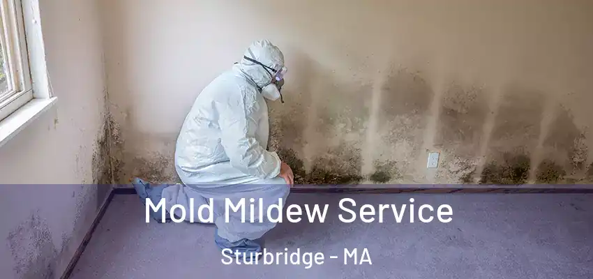 Mold Mildew Service Sturbridge - MA
