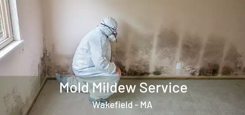  Mold Mildew Service Wakefield - MA