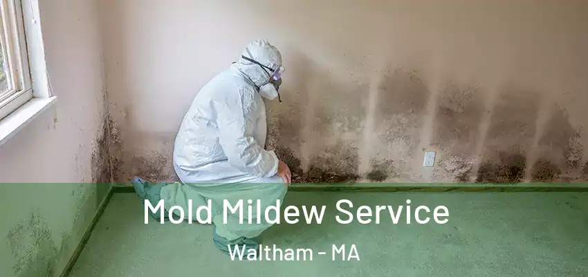  Mold Mildew Service Waltham - MA
