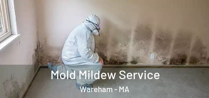  Mold Mildew Service Wareham - MA