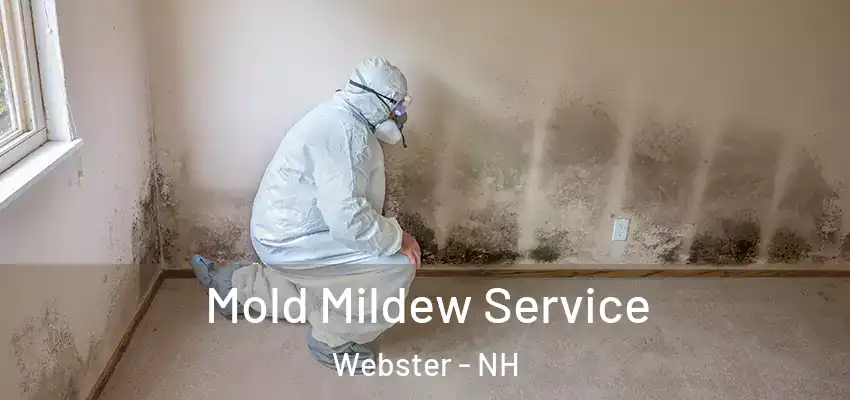  Mold Mildew Service Webster - NH