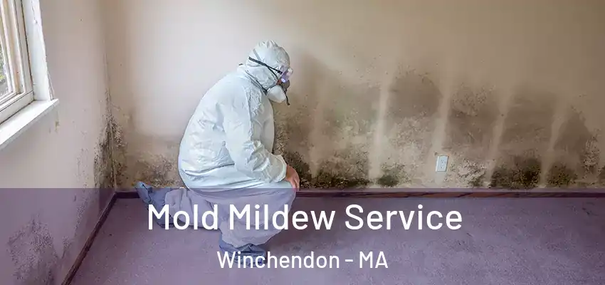 Mold Mildew Service Winchendon - MA