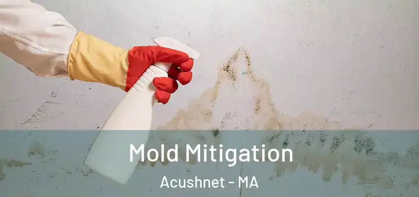  Mold Mitigation Acushnet - MA