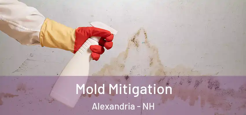 Mold Mitigation Alexandria - NH