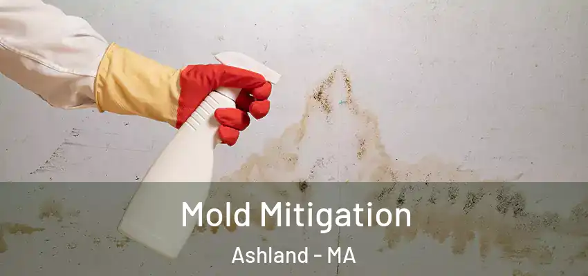 Mold Mitigation Ashland - MA