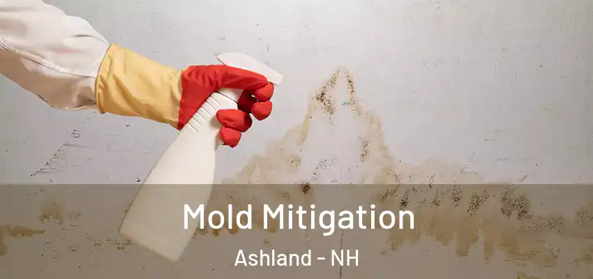 Mold Mitigation Ashland - NH