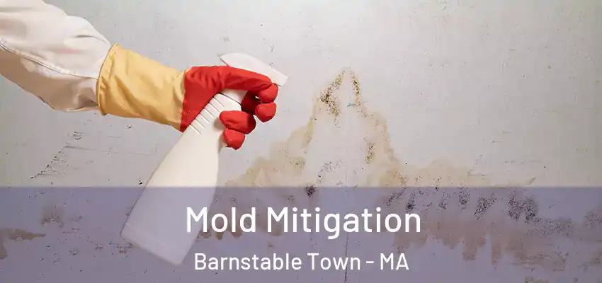  Mold Mitigation Barnstable Town - MA