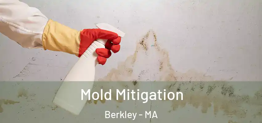  Mold Mitigation Berkley - MA