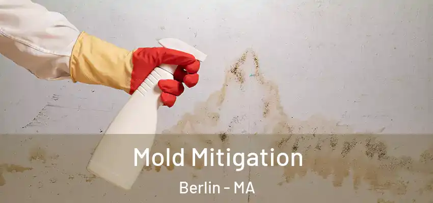 Mold Mitigation Berlin - MA
