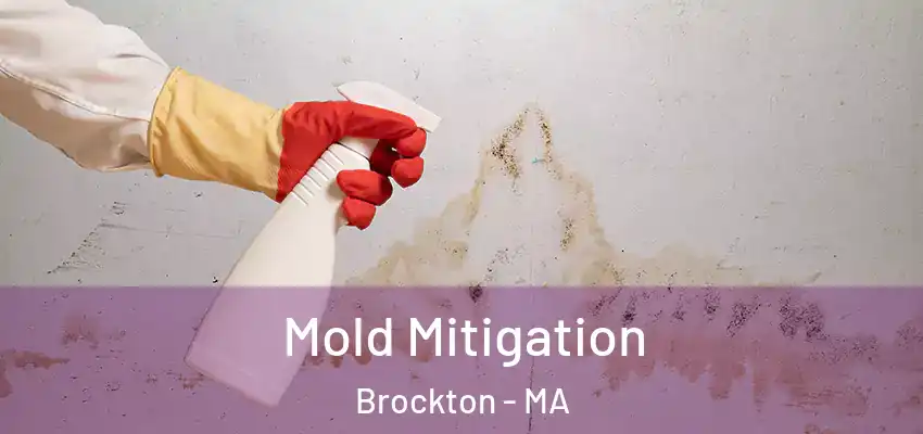  Mold Mitigation Brockton - MA